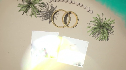 High-impact Wedding Slideshow Custom Animation