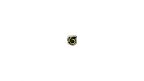 Flexible Photo Logo Live Editing