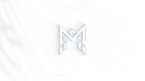 Customizable Logo Intro Final