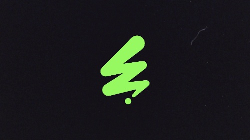 Customized-presence Scratchy Logo Motion Effects