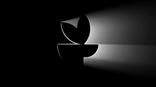 Elegant-finish Logo Reveal Video Setup