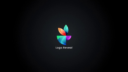 Elegant-finish Logo Reveal Video Setup
