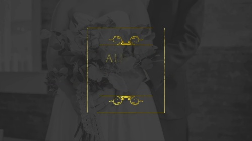 Eye-pleasing Gold Wedding Titles Media Director Pack