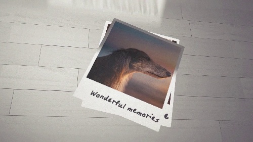 Timeless Photo Logo Style