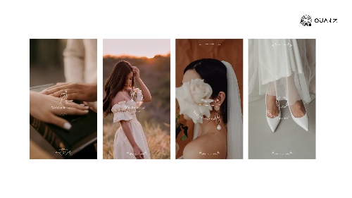 Captivating-effect Wedding Reels Media Studio