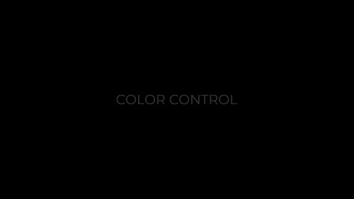 Limitless Logo Impact Professional