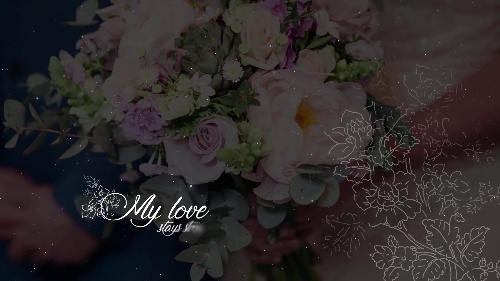 Unparalleled Wedding Titles Customizer