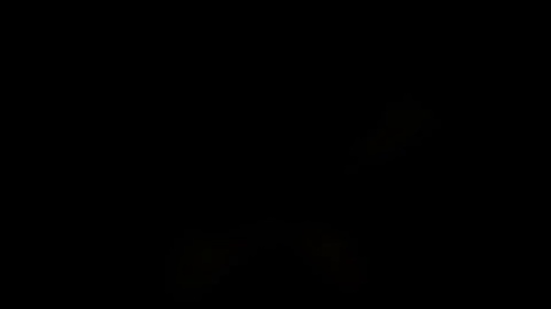 Flawless-style Logo Reveal Animation Tool