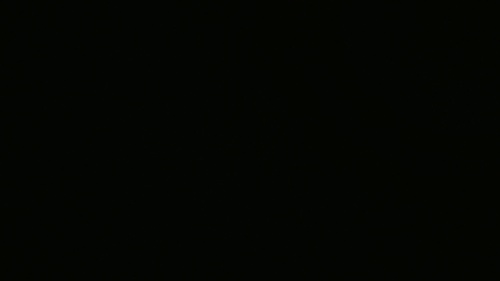 Integrated Logo Reveal Video Effects