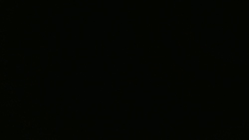 Integrated Logo Reveal Video Effects