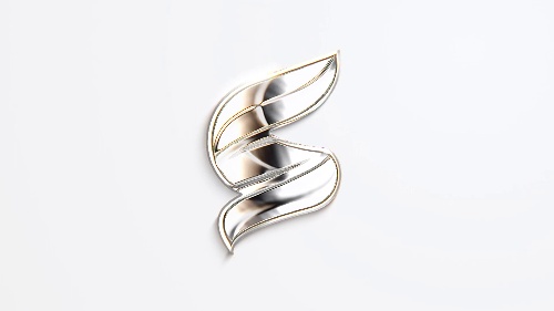 Extraordinary Logo Animation Configuration