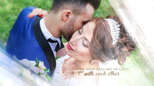 Bold-look Wedding Promo 3D Project