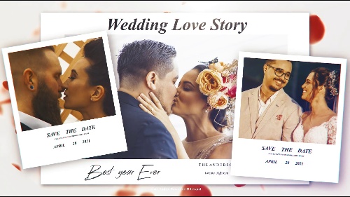 Elegant-vibe Wedding Slideshow Custom Video Content