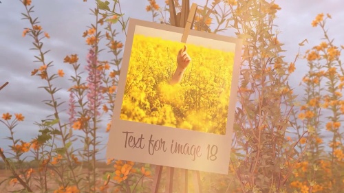 Advanced-technology Photo Gallery in a flowery and sunny meadow Professional Video Pack