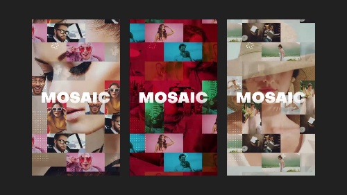 Elegant-effect Mosaic Fast Intro Customizer