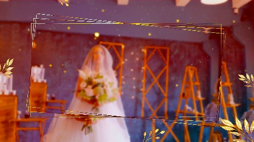 Inspired-design Wedding Slideshow Visual Effects