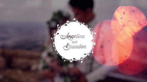 Bright Wedding Titles Custom Video Effects