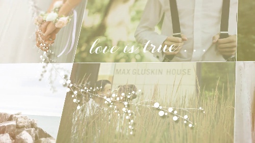 Cohesive Wedding Slideshow Motion Effects