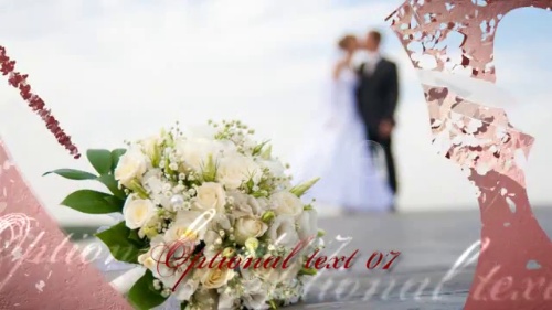 Custom Wedding Hearts Slideshow Animation Project Pro