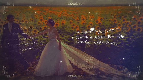 Distinct Wedding Parallax Slideshow Custom Media