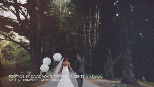 Luxurious-finish Cinematic Wedding Titles Video Generator Pro