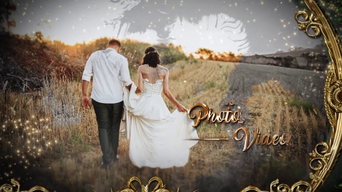 Streamlined-design The Wedding Album Video Editor Pro